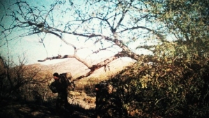 Texas law enforcement officers line the banks of the Rio Grande to wait for migrant caravan