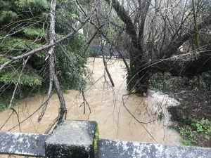 Russian River rises to 45 feet, turning California town into an island