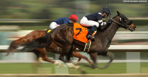 21 horses died at a single racetrack in the last 10 weeks. How did it happen?