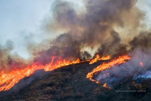 Palisades Fire in Los Angeles burns more than 30 acres, threatens homes