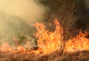 The Easy Fire has burned about 15-hundred acres near Simi Valley, Moorpark and Thousand Oaks