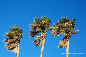 Dry winds are raising the possibility of some dangerous fires in the Southland.