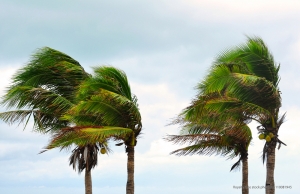 High Winds Coming Later This Week