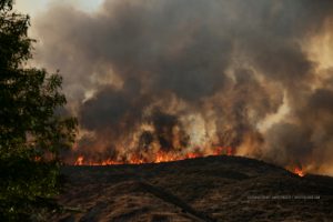 The Tick Fire is currently at 43-hundred acres.