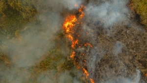 The Getty Fire is now over 600 acres. 11-hundred firefighters are battling the flames west of the 405. At least 13 structures are damaged or destroyed.