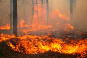 Brush Fire in San Bernadino