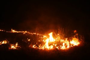 Evacuations continue in neighborhoods up and down the 14 Freeway.