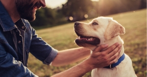 Owning a dog tied to lowering your risk of dying early by 24%, says science