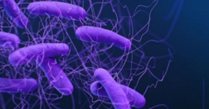 Drug-resistant superbug kills someone every 15 minutes