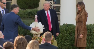 Trump spares turkey named ‘Butter’ with a Thanksgiving pardon