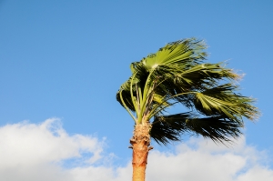 Powerful, Santa Ana winds are creating dangerous driving conditions across Southern California.