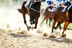 A surge in horse racing deaths is not leading to criminal charges in Los Angeles County.