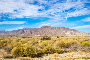 Accused drug smugglers are behind bars after a wild chase across the desert.