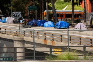 Tiny Home Community Opens For Los Angeles Homeless