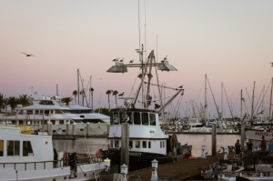 More Evidence That Cali Makes It Tough To Do Business: Sportfishing Operators Face Regulations That Could Put Them Out Of Business