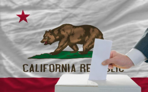 Sanity: Initiative Would Requires ID Checks Before Voting In California