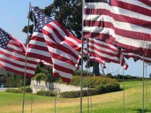 Must see 9-11 tribute: Pepperdine Waves of Flags.