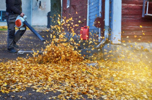 Nothing Is Too Woke For Newsom: California Moves To Ban Gas-Powered Lawn Mowers, Leaf Blowers