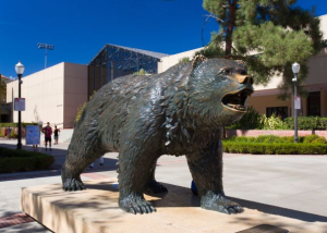 UCLA To Increase Staffing At Pauley Pavilion Amid Crowd Surge Concerns