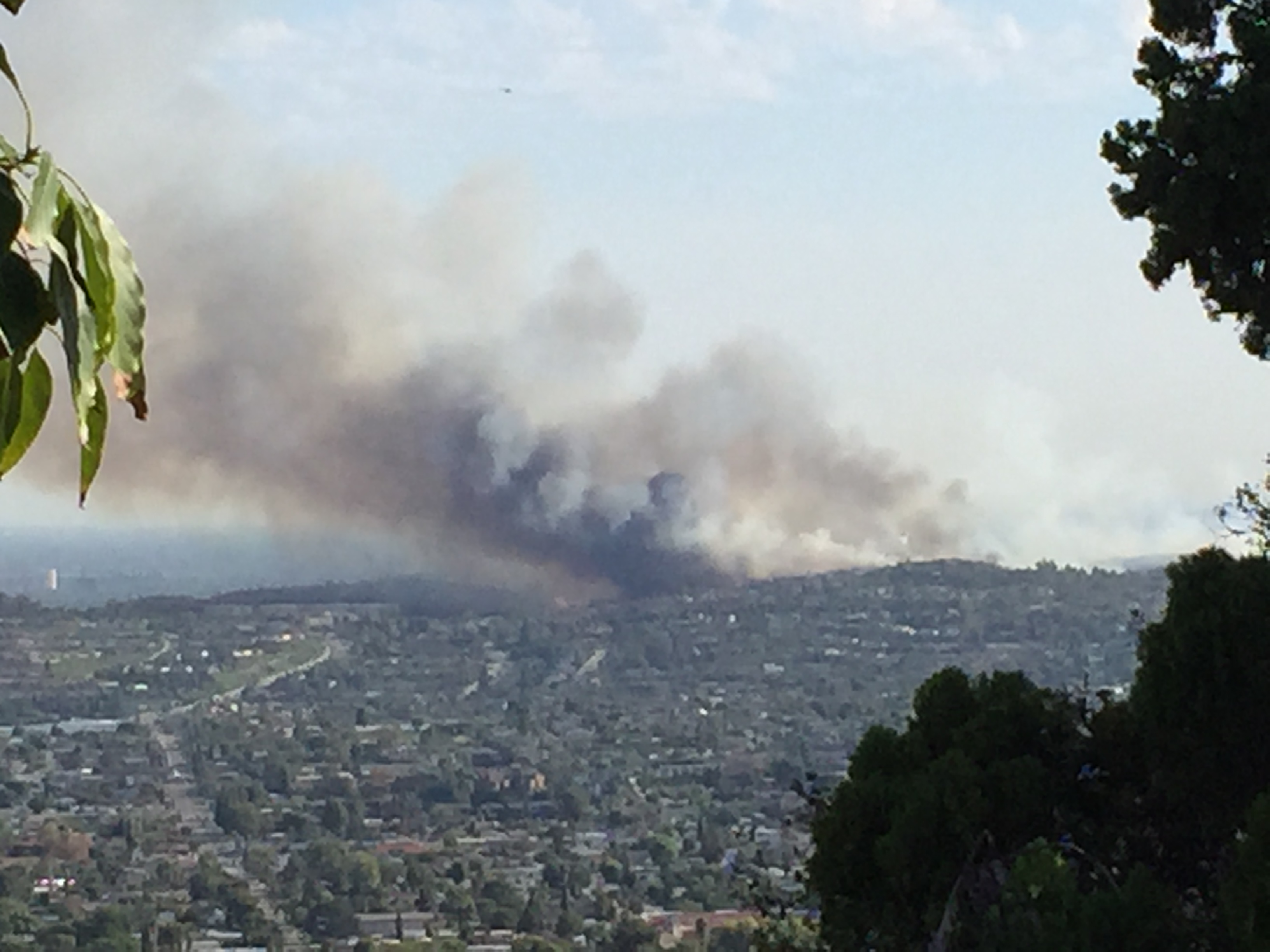 A Brush Fire In The Coyote Hills In Fullerton Was The Scene Of A Firefighting Maximum Effort 3650